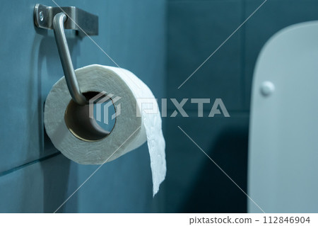 Toilet paper hanging on a bathroom wall, with toilet detail on the background. Toilet paper hanging on a bathroom wall, with toilet detail on the background. 112846904