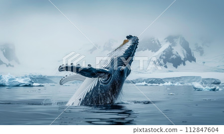 AI-generated content. Majestic Humpback Whale Jumping Out of the Water 112847604