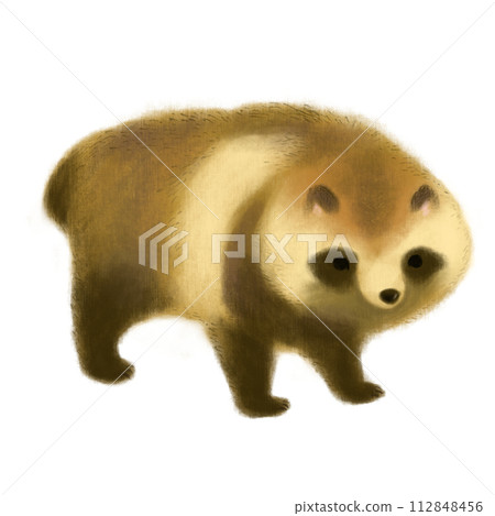 毛茸茸的貉的插圖 112848456