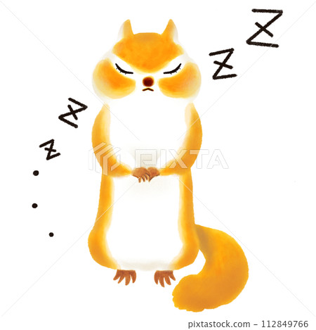 打瞌睡的松鼠的插圖 打瞌睡的松鼠的插圖 112849766