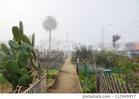 Path in Community Garden in Santa Monica, California 112849957