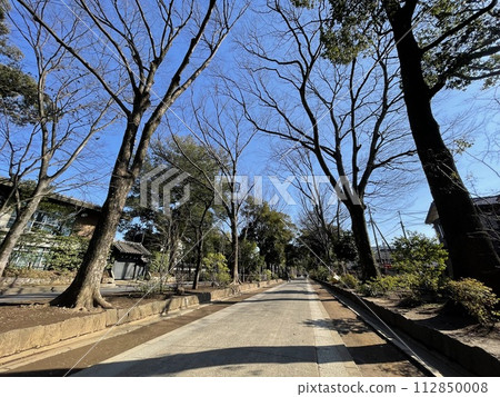 冬天的大宮冰川神社 冬天的大宮冰川神社 112850008