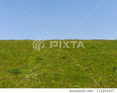 Yamato River embankment covered with fresh green flowers 112850227