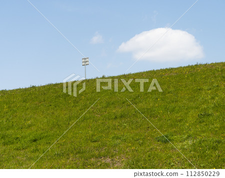 Yamato River embankment covered with fresh green flowers Yamato River embankment covered with fresh green flowers 112850229