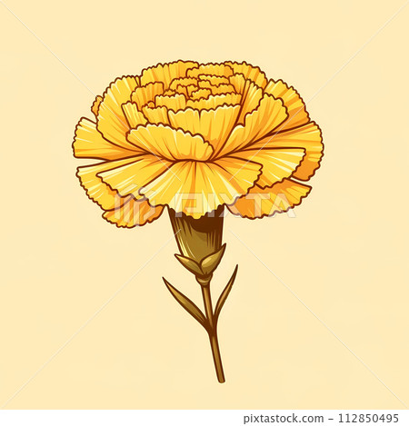 一朵康乃馨。黃色康乃馨簡單圖解 一朵康乃馨。黃色康乃馨簡單圖解 112850495