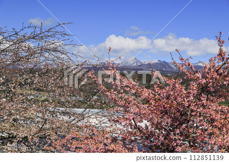 Mt. Akagi in early spring with cherry blossoms blooming Mt. Akagi in early spring with cherry blossoms blooming 112851139