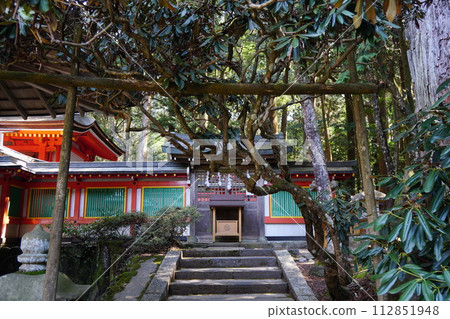 奈良縣柘毛地區柘毛水神社 奈良縣柘毛地區柘毛水神社 112851948