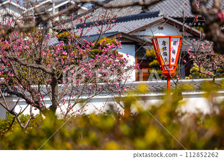 【京都風景】與小野町相連的瑞神院賞梅會 【京都風景】與小野町相連的瑞神院賞梅會 112852262