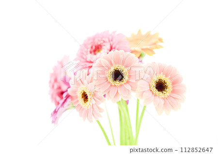 Bright and colorful gerbera flowers Bright and colorful gerbera flowers 112852647