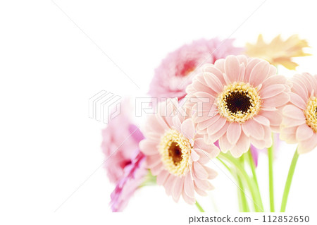 Bright and colorful gerbera flowers 112852650