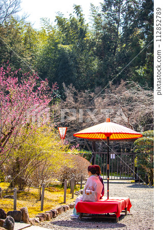 [Kyoto Scenery] Plum blossom viewing party at Zuishin-in, a temple connected to Onokomachi 112852789