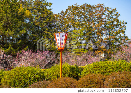 [Kyoto Scenery] Plum blossom viewing party at Zuishin-in, a temple connected to Onokomachi 112852797