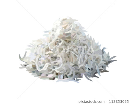 Chirimenjako(銀魚) Chirimenjako(銀魚) 112853025