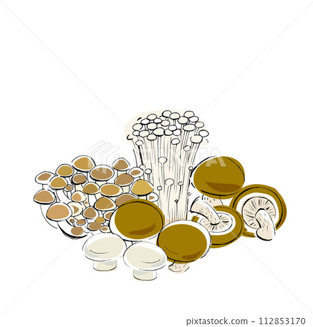 手繪蘑菇插畫合輯 112853170