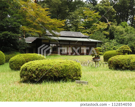 Sekkoto 112854050