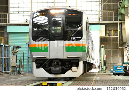 Shonan colored E217 series train stopping at the depot Shonan colored E217 series train stopping at the depot 112854062