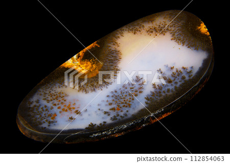 Dendritic Agate A stone that harbors landscapes 112854063