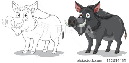 Before and After: Cartoon Boar Illustration 112854465