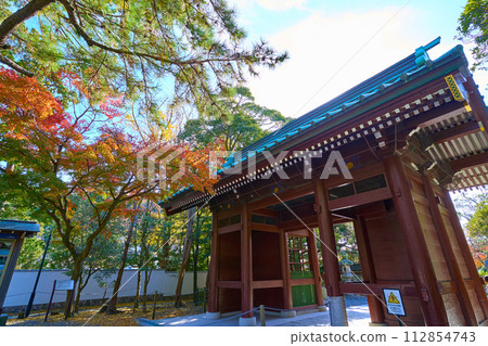 從院內眺望秋天的神奈川縣鎌倉市鎌倉大佛殿高德院二王門 從院內眺望秋天的神奈川縣鎌倉市鎌倉大佛殿高德院二王門 112854743