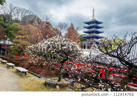 春天到來,白梅花和五層寶塔,2月15日,日本 春天到來,白梅花和五層寶塔,2月15日,日本 112854768