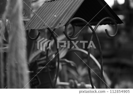 仙女們住在我家 仙女們住在我家 112854905