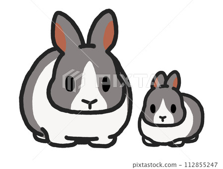 荷蘭藍兔家族 112855247