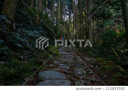森林健行步道、孤獨的旅客和朝聖之路 112855502