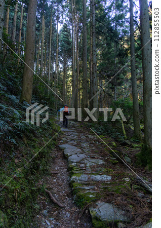 Forest hiking path, lone traveler, and pilgrimage path 112855503