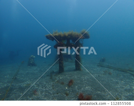 underwater shrine 112855508