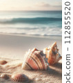 Seashell launched on the beach 112855520