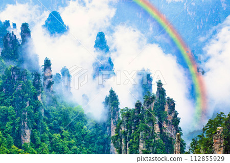 Spectacular views of the strangely shaped rocks of Zhangjiajie and Wulingyuan 112855929