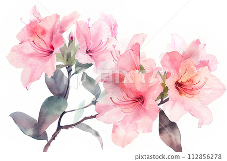 Azalea flower (watercolor painting) "AI generated image" 112856278