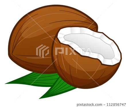 coconut cartoon on white background 112856747