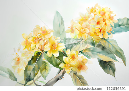 桂花（水彩畫）“AI生成圖像” 112856891