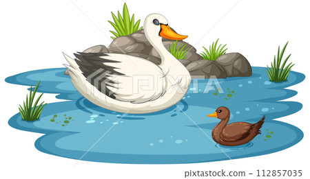 Serene Pond with Ducks Illustration 112857035