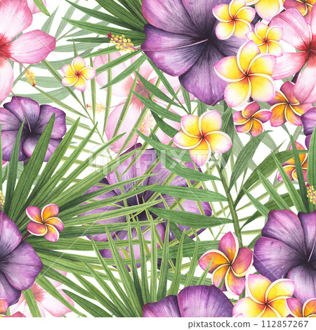 seamless pattern tropic plant palm, hibiscus. plumeria flower isolated on white background. Watercolor hand drawn botanical illustration. Art for design fabric, cosmetic, wrapping paper, spa 112857267
