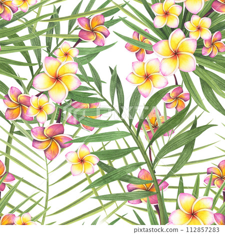 seamless pattern tropic plant palm, hibiscus. plumeria flower isolated on white background. Watercolor hand drawn botanical illustration. Art for design fabric, cosmetic, wrapping paper, spa seamless pattern tropic plant palm, hibiscus. plumeria flower isolated on white background. Watercolor hand drawn botanical illustration. Art for design fabric, cosmetic, wrapping paper, spa 112857283