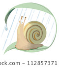 A snail taking shelter from the rain on a leaf 112857371
