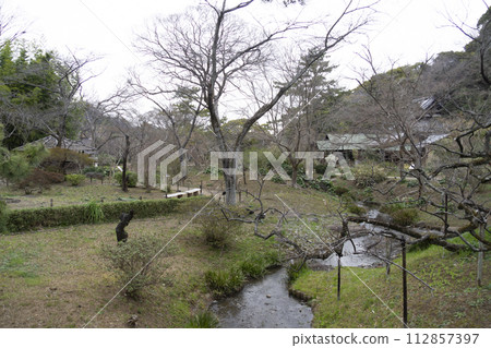 Spring at Sankeien Garden, a scenic spot in Yokohama City, Kanagawa Prefecture Spring at Sankeien Garden, a scenic spot in Yokohama City, Kanagawa Prefecture 112857397