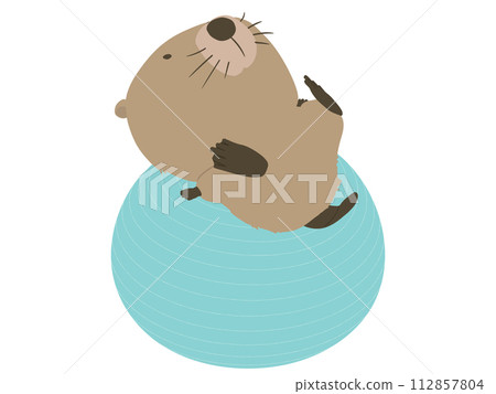 海狸在平衡球上 112857804