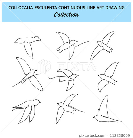 Set of flying bird one continuous line drawing. Cute decoration hand drawn elements. Vector illustration of minimalist style on a white background. 112858009
