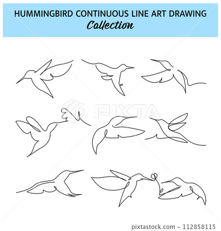Set of hummingbird one continuous line drawing. Cute decoration hand drawn elements. Vector illustration of minimalist style on a white background. 112858115