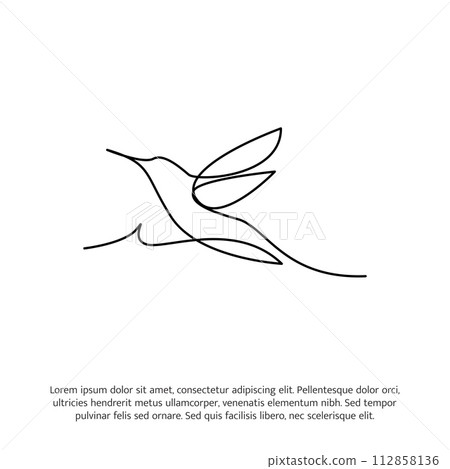 Hummingbird one continuous line drawing. Cute decoration hand drawn elements. Vector illustration of minimalist style on a white background. Hummingbird one continuous line drawing. Cute decoration hand drawn elements. Vector illustration of minimalist style on a white background. 112858136