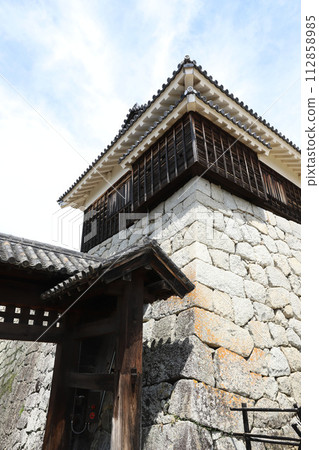 愛媛縣松山市松山城 愛媛縣松山市松山城 112858985