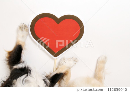 Small dog's hand and heart mark Small dog's hand and heart mark 112859040