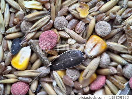 Texture of a colorful grains and seeds, close-up food for rodents 112859323