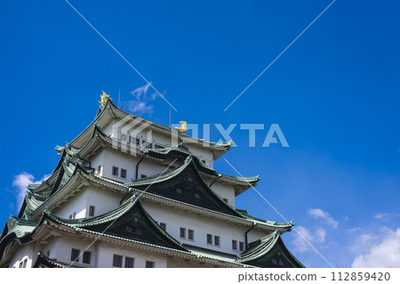Nagoya Castle Nagoya Castle 112859420