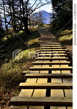 丹澤的姬次：丹澤的主要木道和檜木丸 112860392