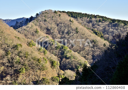 View of Mt. Nemuro bathed in the morning sun from Mt. Mt. Oyama in Tanzawa View of Mt. Nemuro bathed in the morning sun from Mt. Mt. Oyama in Tanzawa 112860408