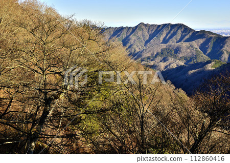 丹澤的野野:從Nabearashi東嶺看到的宗州阿爾卑斯山 丹澤的野野:從Nabearashi東嶺看到的宗州阿爾卑斯山 112860416